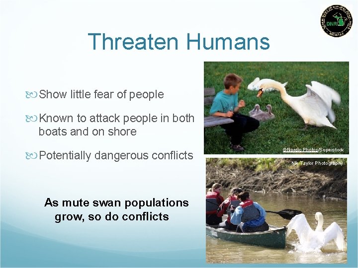 Threaten Humans Show little fear of people Known to attack people in both boats