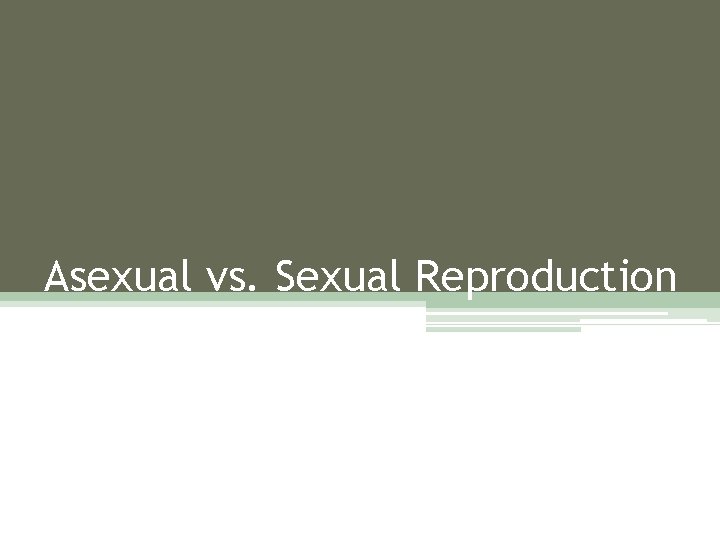 Asexual vs. Sexual Reproduction 