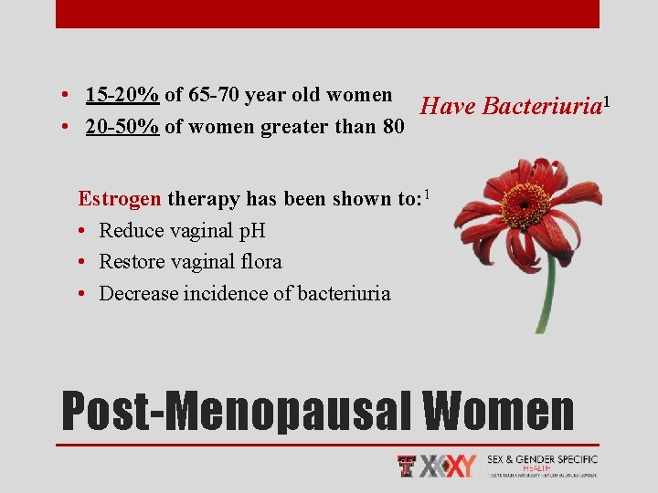  • 15 -20% of 65 -70 year old women Have Bacteriuria 1 •