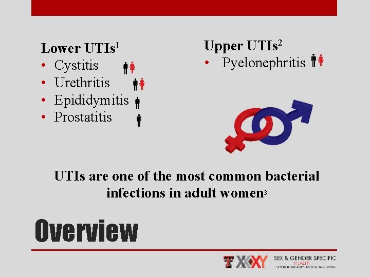 Lower UTIs 1 • Cystitis • Urethritis • Epididymitis • Prostatitis Upper UTIs 2