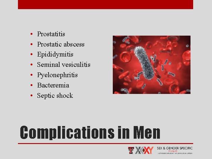  • • Prostatitis Prostatic abscess Epididymitis Seminal vesiculitis Pyelonephritis Bacteremia Septic shock Complications