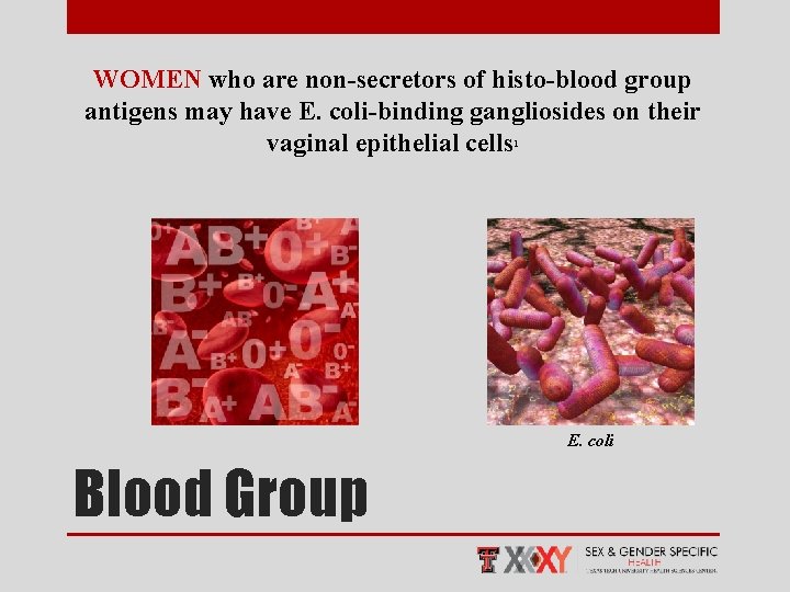 WOMEN who are non-secretors of histo-blood group antigens may have E. coli-binding gangliosides on