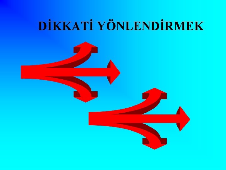 DİKKATİ YÖNLENDİRMEK 