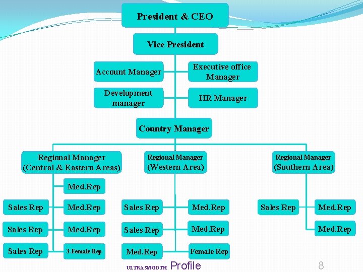 President & CEO Vice President Account Manager Executive office Manager Development manager HR Manager