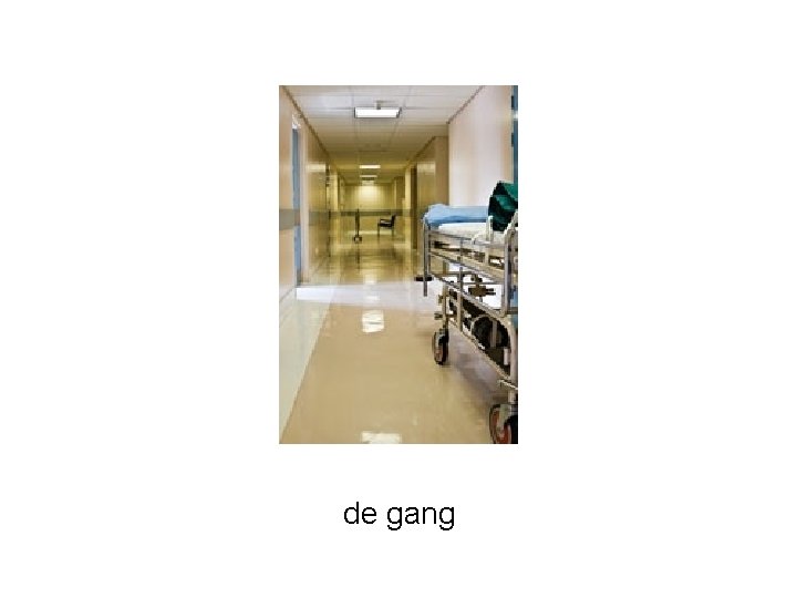 de gang 