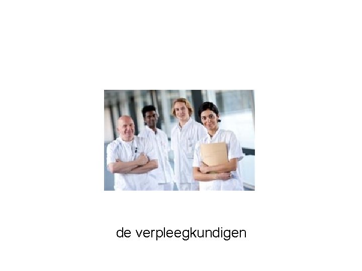 de verpleegkundigen 