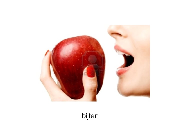 bijten 