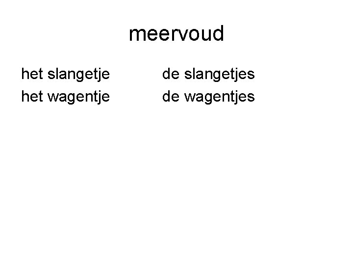 meervoud het slangetje het wagentje de slangetjes de wagentjes 