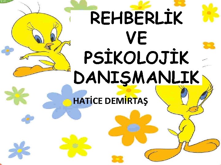 REHBERLİK VE PSİKOLOJİK DANIŞMANLIK HATİCE DEMİRTAŞ 