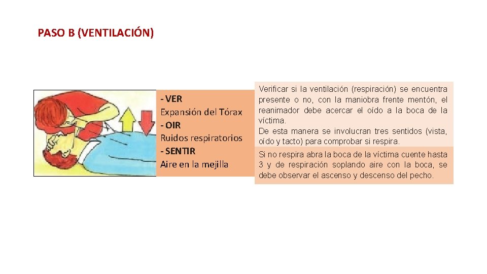 PASO B (VENTILACIÓN) - VER Expansión del Tórax - OIR Ruidos respiratorios - SENTIR PASO B (VENTILACIÓN) - VER Expansión del Tórax - OIR Ruidos respiratorios - SENTIR