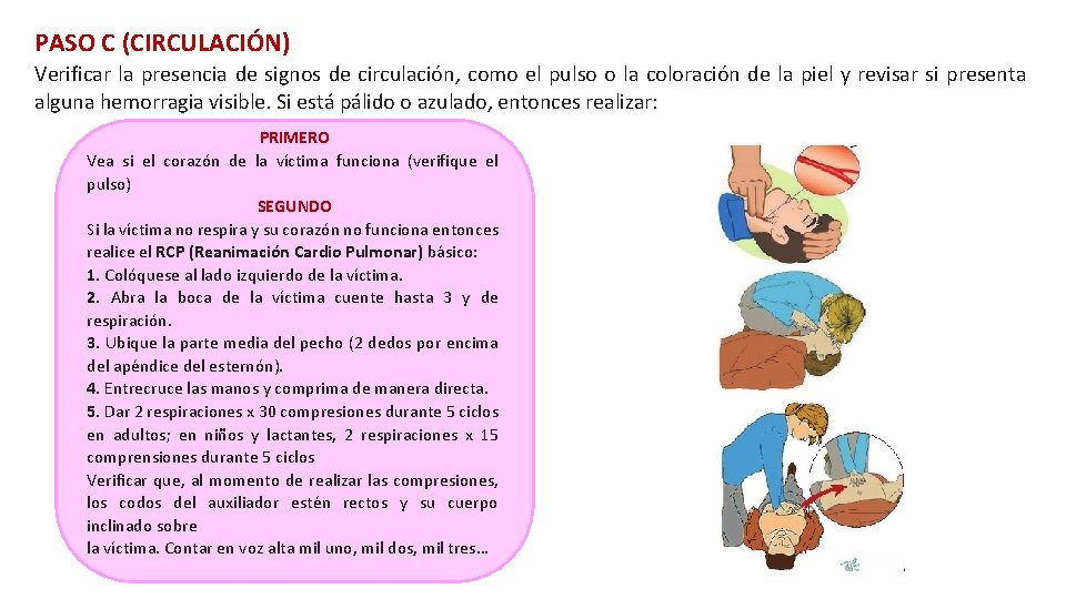 PASO C (CIRCULACIÓN) Verificar la presencia de signos de circulación, como el pulso o PASO C (CIRCULACIÓN) Verificar la presencia de signos de circulación, como el pulso o