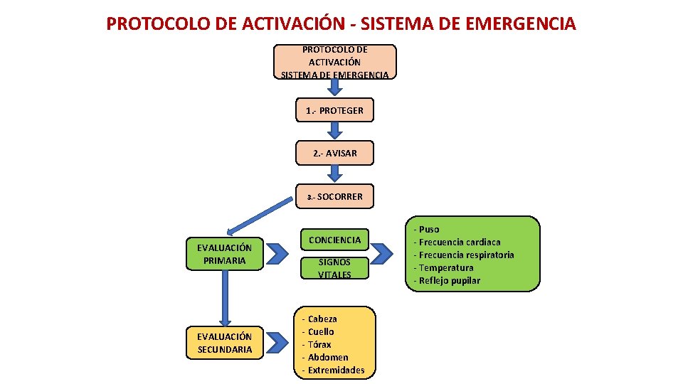 PROTOCOLO DE ACTIVACIÓN - SISTEMA DE EMERGENCIA PROTOCOLO DE ACTIVACIÓN SISTEMA DE EMERGENCIA 1. PROTOCOLO DE ACTIVACIÓN - SISTEMA DE EMERGENCIA PROTOCOLO DE ACTIVACIÓN SISTEMA DE EMERGENCIA 1.