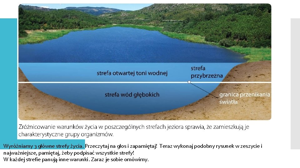 Wyróżniamy 3 główne strefy życia. Przeczytaj na głos i zapamiętaj! Teraz wykonaj podobny rysunek