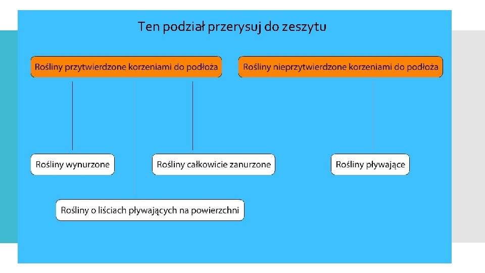 Ten podział przerysuj do zeszytu 