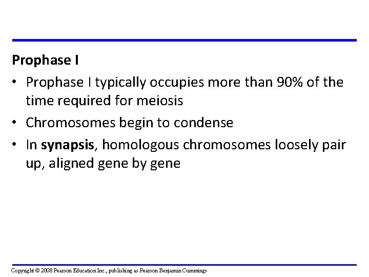 Prophase I • Prophase I typically occupies more than 90% of the time required