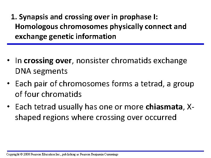 1. Synapsis and crossing over in prophase I: Homologous chromosomes physically connect and exchange