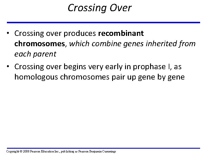 Crossing Over • Crossing over produces recombinant chromosomes, which combine genes inherited from each