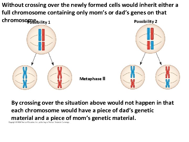 Without crossing over the newly formed cells would inherit either a full chromosome containing