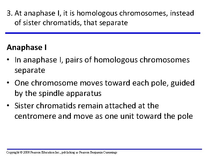 3. At anaphase I, it is homologous chromosomes, instead of sister chromatids, that separate