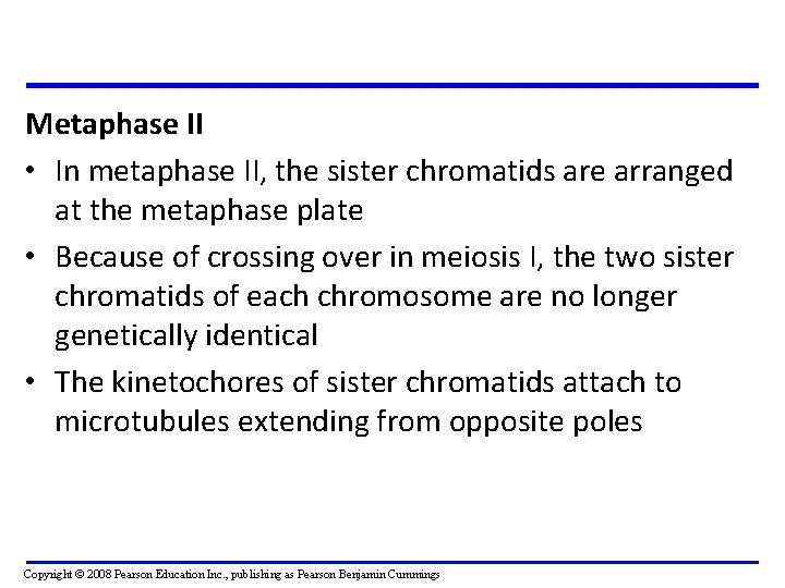 Metaphase II • In metaphase II, the sister chromatids are arranged at the metaphase