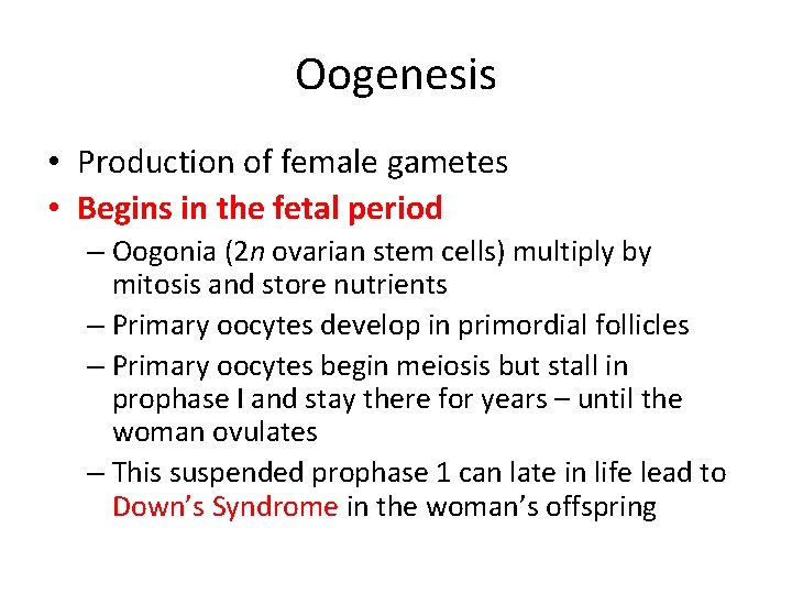 Oogenesis • Production of female gametes • Begins in the fetal period – Oogonia