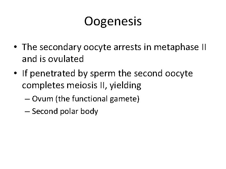 Oogenesis • The secondary oocyte arrests in metaphase II and is ovulated • If