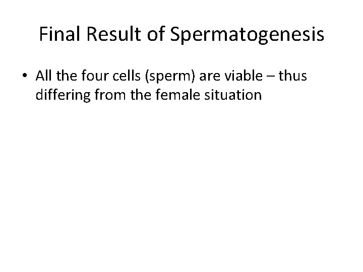 Final Result of Spermatogenesis • All the four cells (sperm) are viable – thus