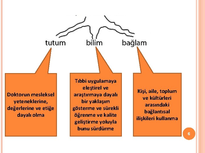 Doktorun mesleksel yeteneklerine, değerlerine ve etiğe dayalı olma Tıbbi uygulamaya eleştirel ve araştırmaya dayalı