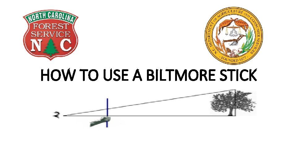 HOW TO USE A BILTMORE STICK 