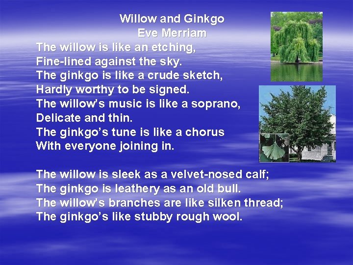 Willow and Ginkgo Eve Merriam The willow is like an etching, Fine-lined against the