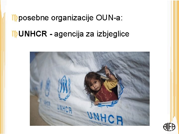  posebne organizacije OUN-a: UNHCR - agencija za izbjeglice 