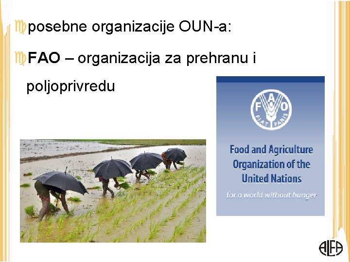  posebne organizacije OUN-a: FAO – organizacija za prehranu i poljoprivredu 