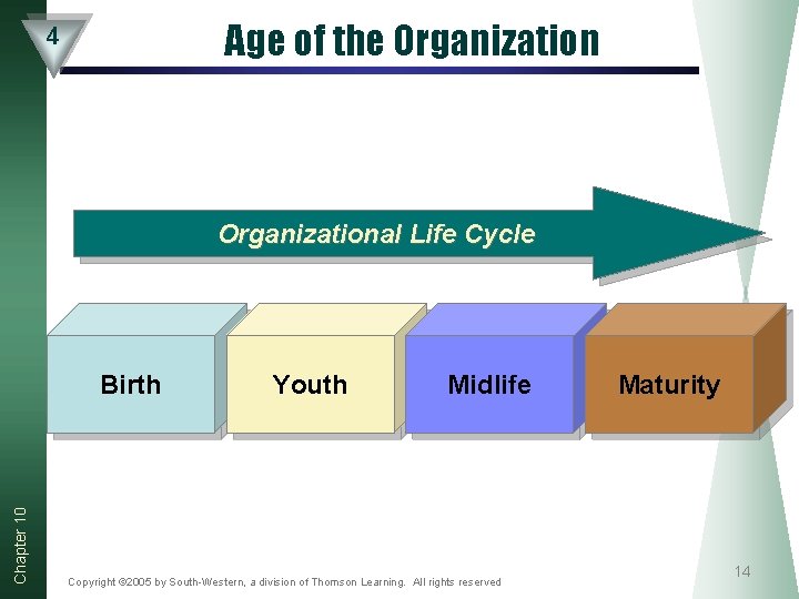 Age of the Organization 4 Organizational Life Cycle Chapter 10 Birth Youth Midlife Copyright