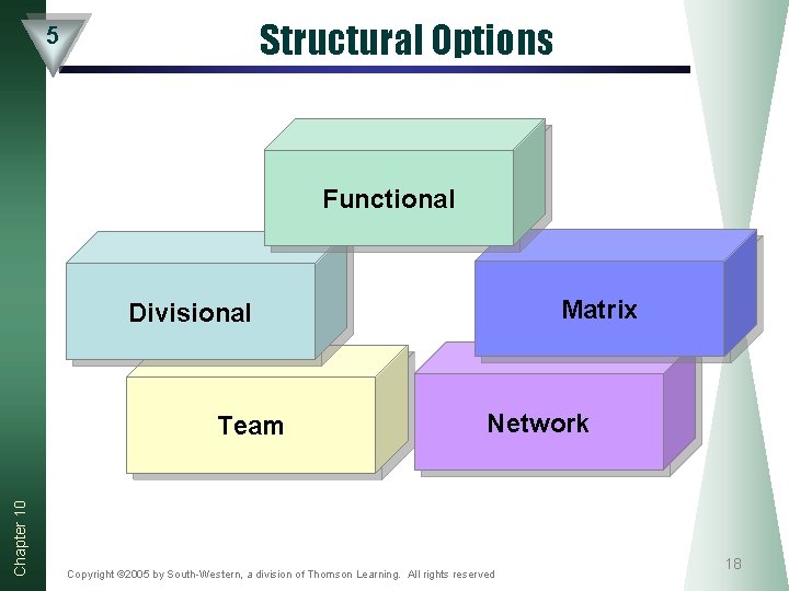 Structural Options 5 Functional Matrix Divisional Chapter 10 Team Network Copyright © 2005 by