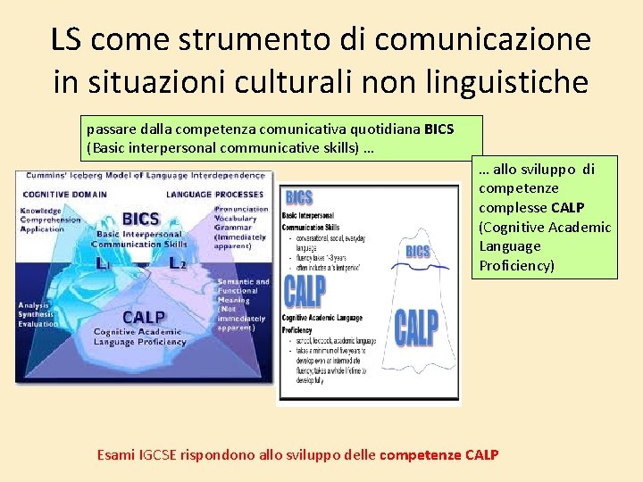 LS come strumento di comunicazione in situazioni culturali non linguistiche passare dalla competenza comunicativa