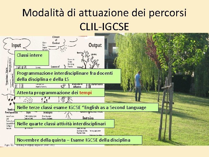 Modalità di attuazione dei percorsi CLIL-IGCSE Classi intere Programmazione interdisciplinare fra docenti della disciplina