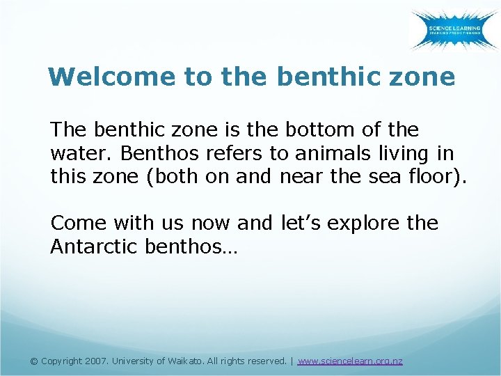 Welcome to the benthic zone The benthic zone is the bottom of the water.