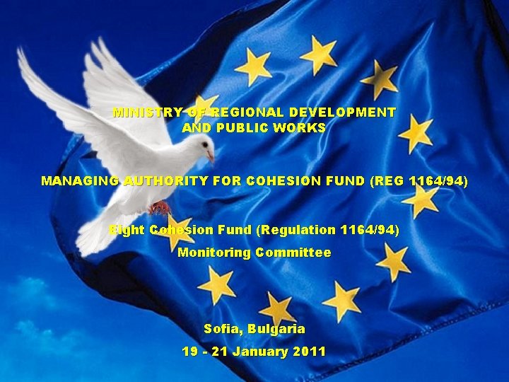 MINISTRY OF REGIONAL DEVELOPMENT AND PUBLIC WORKS MANAGING AUTHORITY FOR COHESION FUND (REG 1164/94)