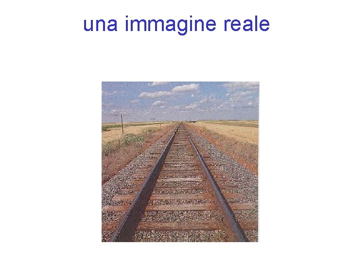 una immagine reale 