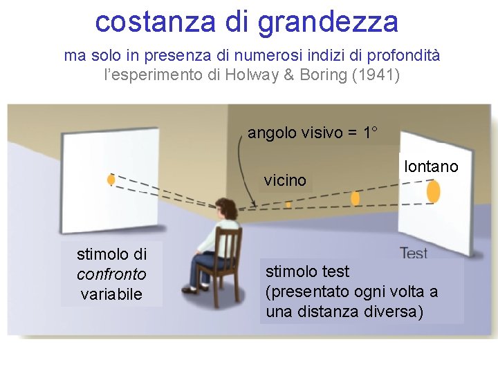 costanza di grandezza ma solo in presenza di numerosi indizi di profondità l’esperimento di