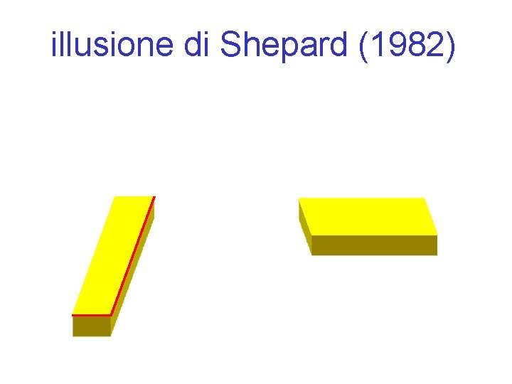 illusione di Shepard (1982) 