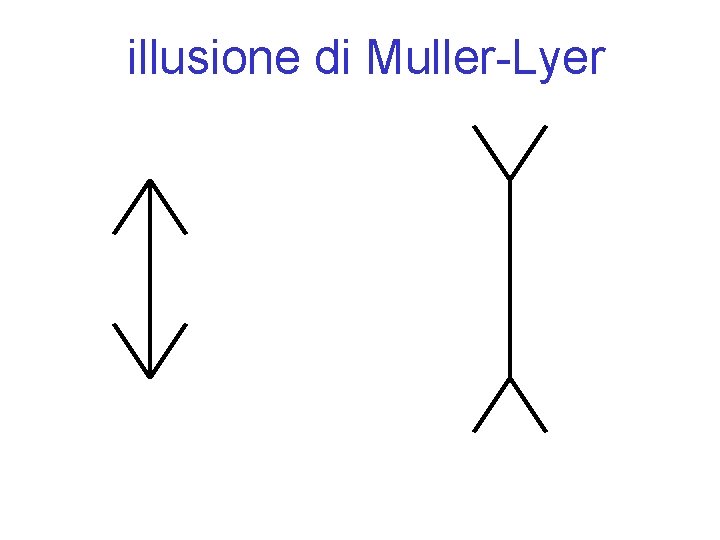 illusione di Muller-Lyer 