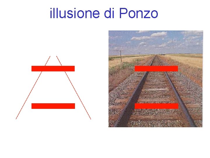 illusione di Ponzo 