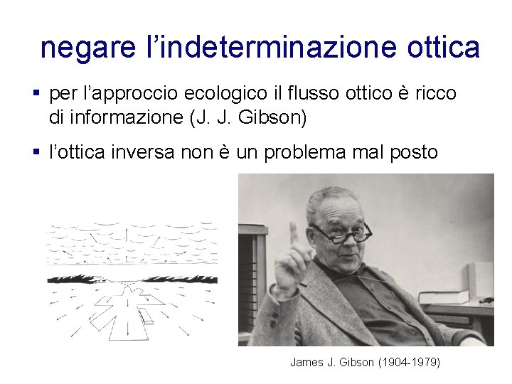 negare l’indeterminazione ottica § per l’approccio ecologico il flusso ottico è ricco di informazione