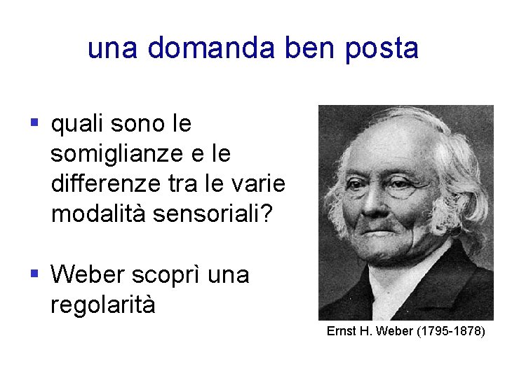 una domanda ben posta § quali sono le somiglianze e le differenze tra le