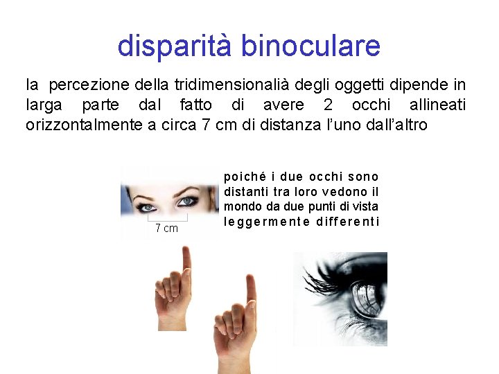 disparità binoculare la percezione della tridimensionalià degli oggetti dipende in larga parte dal fatto