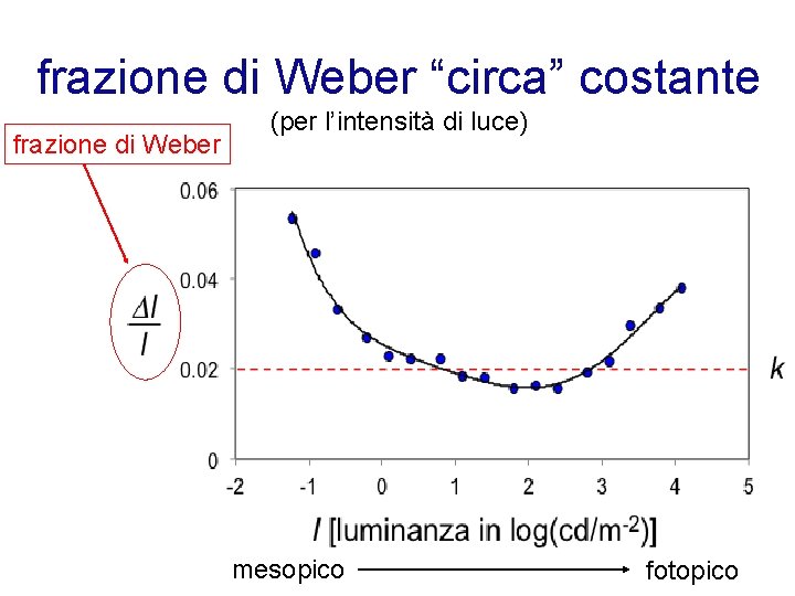 frazione di Weber “circa” costante frazione di Weber (per l’intensità di luce) mesopico fotopico