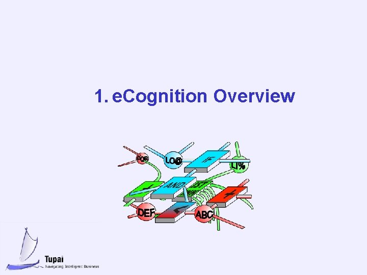 1. e. Cognition Overview 