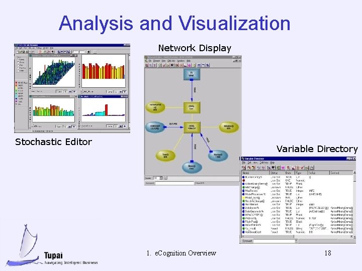 Analysis and Visualization Network Display Stochastic Editor Variable Directory 1. e. Cognition Overview 18