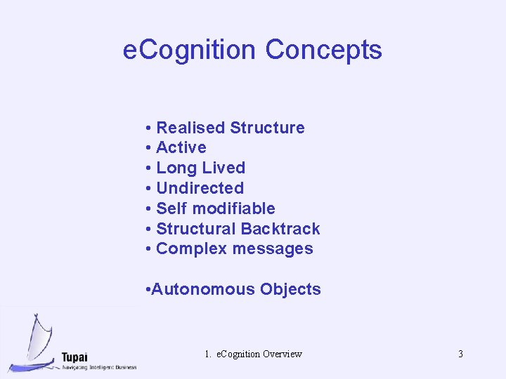 e. Cognition Concepts • Realised Structure • Active • Long Lived • Undirected •